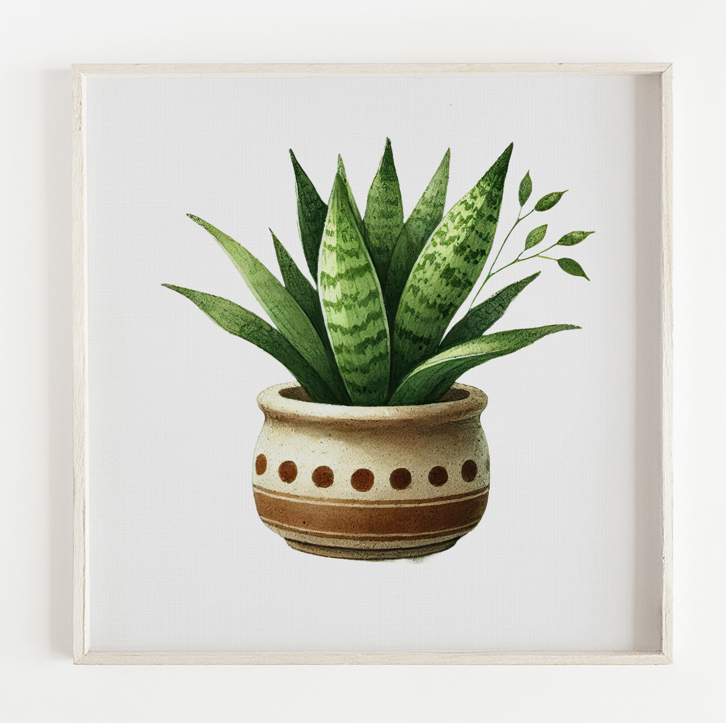 Sansevieria botanical illustration print (12x12in)