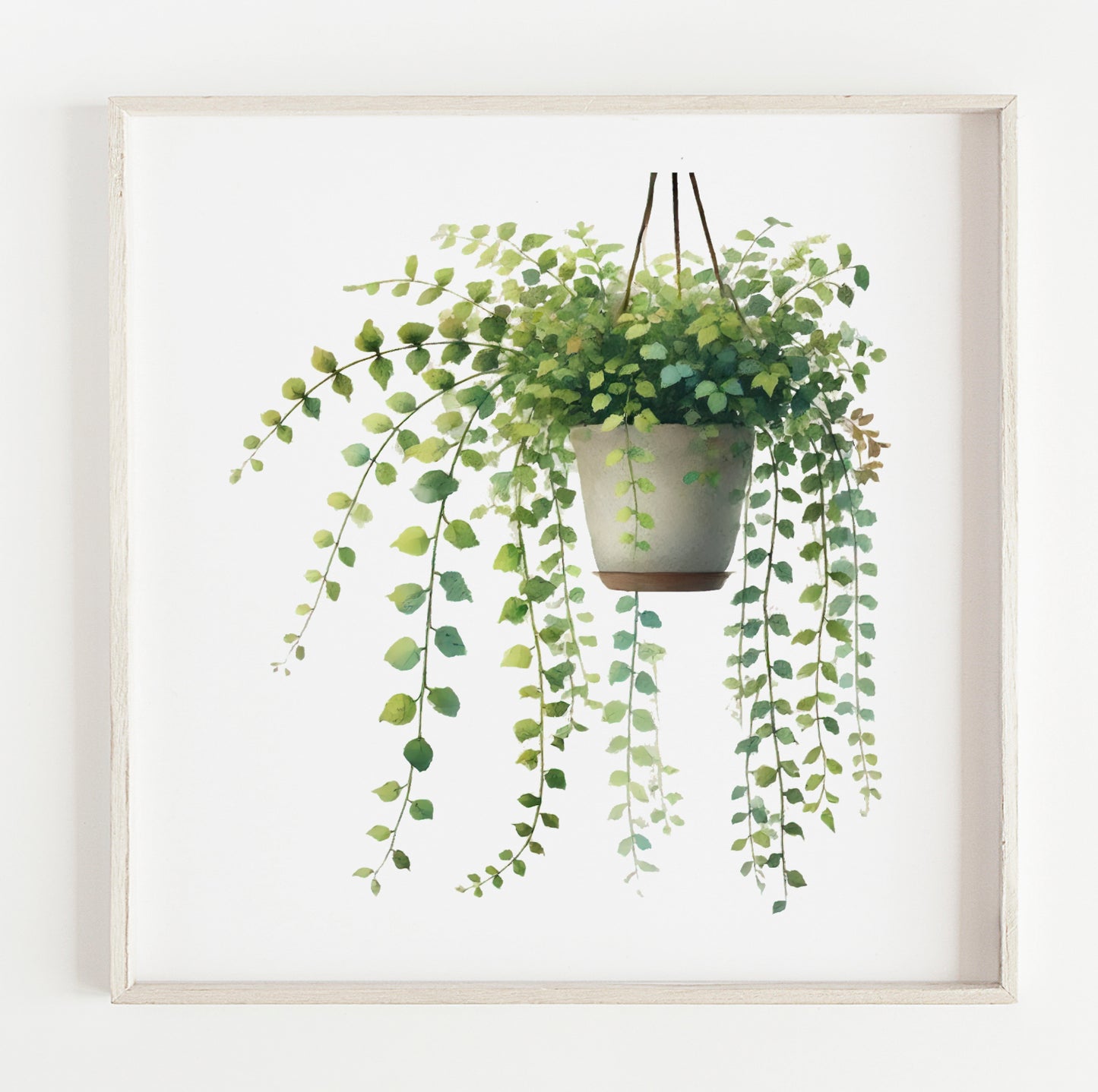 Hanging Plant illustration print (12x12in)
