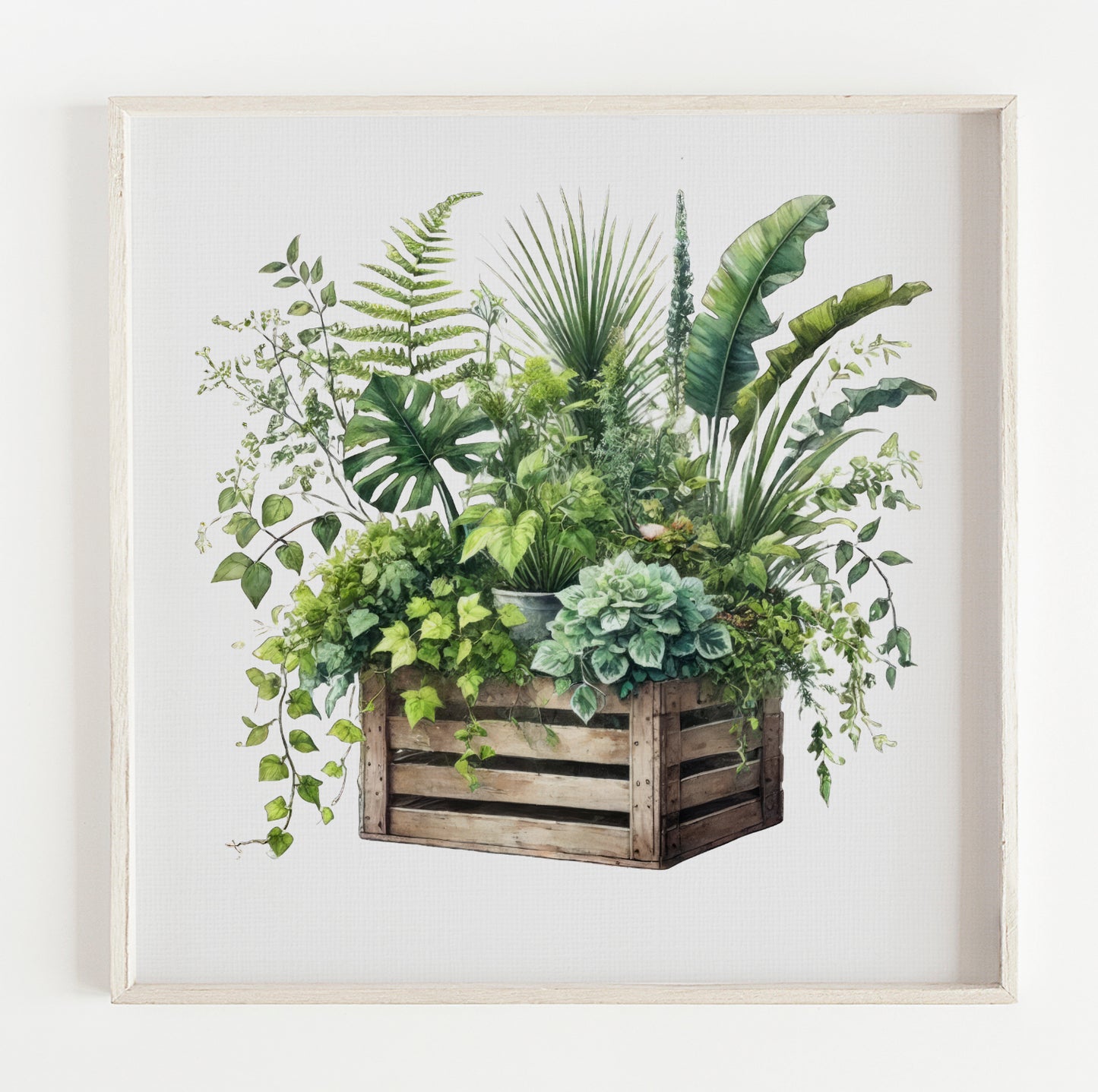 Box of plants illustration print (12x12in)