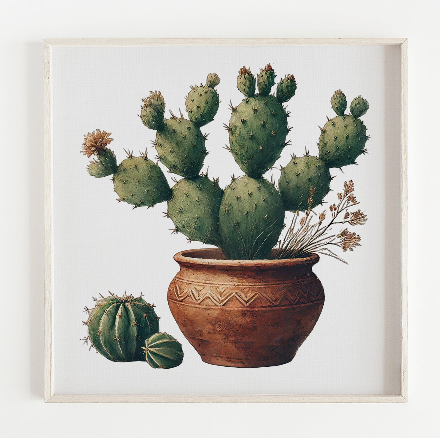 Cactus Plant illustration print (12x12in)