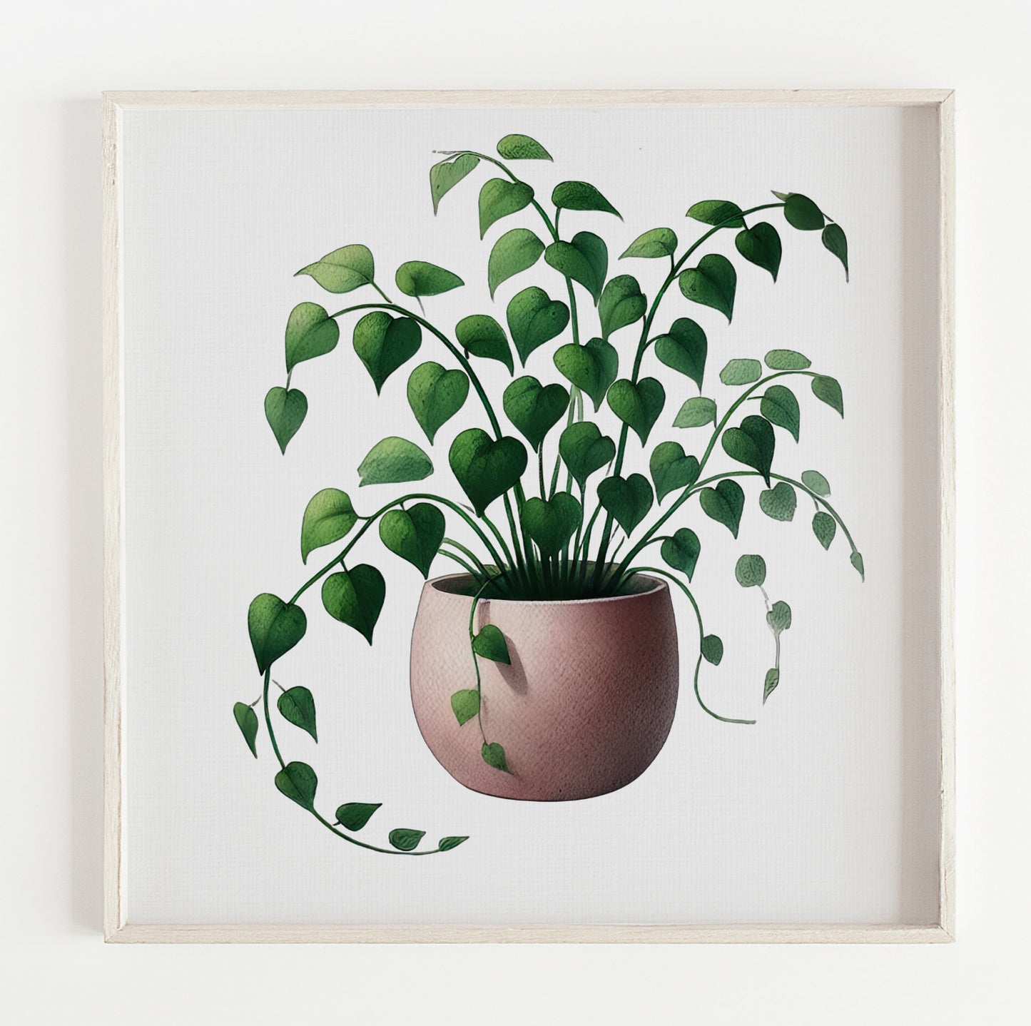 Heart Leaves Plant illustration print (12x12in)