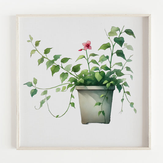Plant with flower illustration print (12x12in)